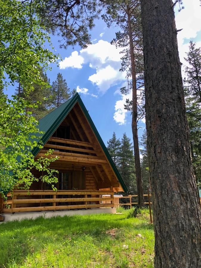 The Pine Forest Cottage Žabljak エクステリア 写真